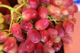 提子事件谁爆料的啊最新,揭秘爆料者身份与动机  第2张 提子事件谁爆料的啊最新,揭秘爆料者身份与动机  第2张