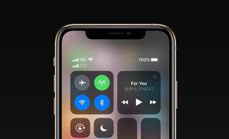 钛灰色苹果11最新爆料,外观设计大揭秘,性能升级引期待!  第3张 钛灰色苹果11最新爆料,外观设计大揭秘,性能升级引期待!  第3张