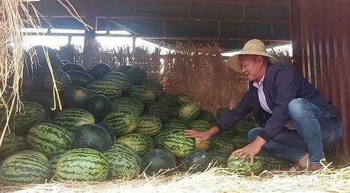 昆明某网红吃瓜事件,一场网络舆论的风暴与反思  第2张 昆明某网红吃瓜事件,一场网络舆论的风暴与反思  第2张