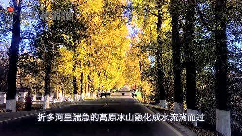 娱乐吃瓜君大丽花,揭秘娱乐圈背后的秘密花絮  第2张 娱乐吃瓜君大丽花,揭秘娱乐圈背后的秘密花絮  第2张