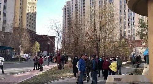 哈尔滨小区爆料事件视频,揭露惊人真相  第2张 哈尔滨小区爆料事件视频,揭露惊人真相  第2张