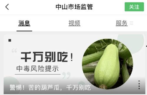 吃葫芦瓜视频素材下载免费,免费下载视频,解锁家常烹饪秘诀  第3张 吃葫芦瓜视频素材下载免费,免费下载视频,解锁家常烹饪秘诀  第3张