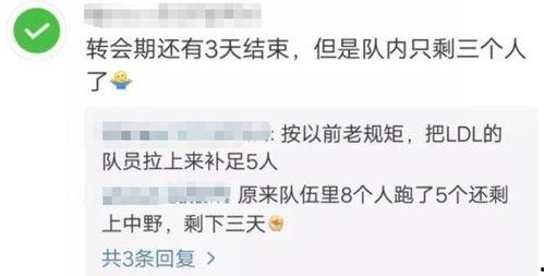 v5教练最新爆料视频,揭秘电竞圈幕后真相与精彩瞬间  第2张 v5教练最新爆料视频,揭秘电竞圈幕后真相与精彩瞬间  第2张