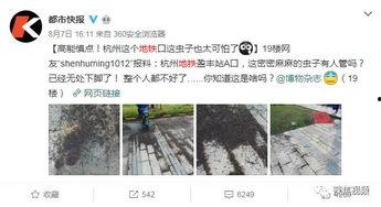 小黑视频爆料,揭秘娱乐圈惊人内幕  第3张 小黑视频爆料,揭秘娱乐圈惊人内幕  第3张