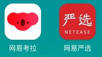 网易考拉最新爆料,揭秘跨境电商新动态与趋势