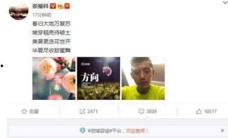 爆料新闻景甜是谁,爆料新闻中的女主角——景甜是谁?  第2张 爆料新闻景甜是谁,爆料新闻中的女主角——景甜是谁?  第2张